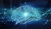Brain image